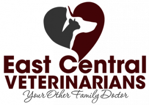 East Central Veterinarians | Mora | Cambridge | 