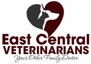 Central clearance veterinary clinic