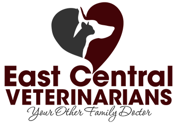 logo-6