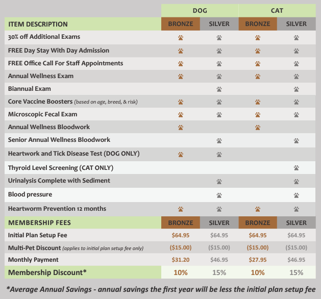 adult and senior wellness